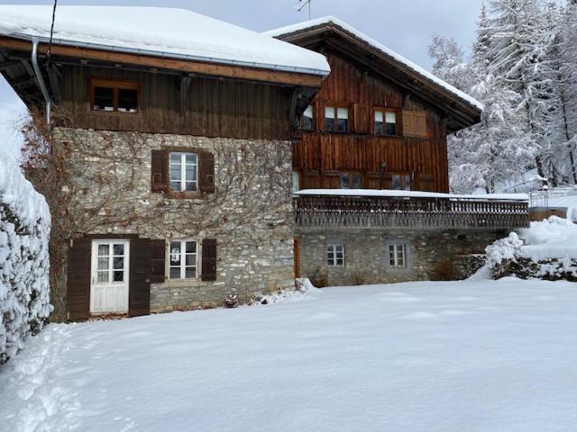 Vila The Nest Les Gets Exteriér fotografie